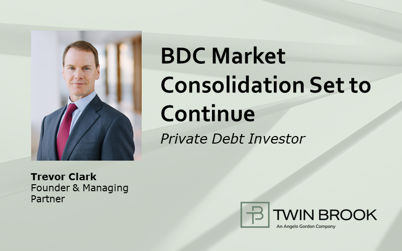 BDC Market Consolidation Set To Continue - TPG Twin Brook Capital Partners